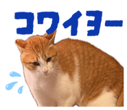840453170