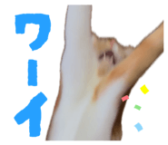 840453171