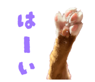 840453176