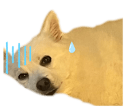840453220