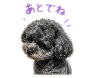 840453478