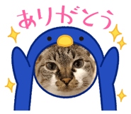 840453611