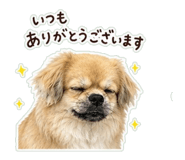 840454165