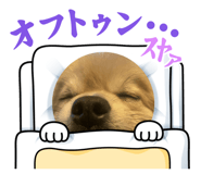 840454200