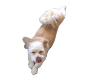 840454553