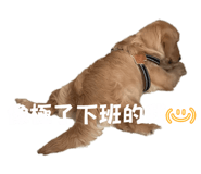 840454677