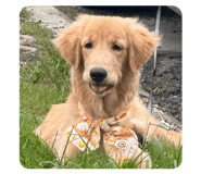 840454687
