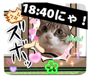 840454969