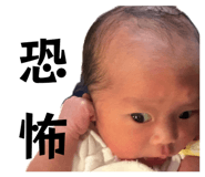840455391