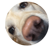 840455521