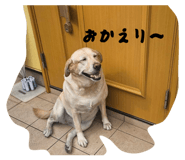 840455526