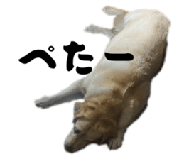 840455528