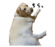 840455535
