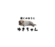 840455540