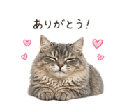 840455550