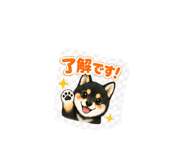 840455594
