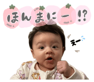 840455950