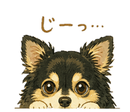 840456246