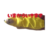 840456356