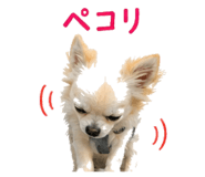 840456437