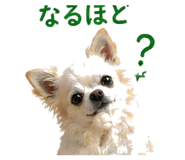 840456440