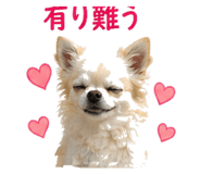840456441