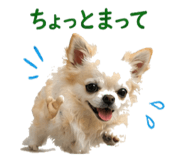 840456454