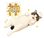 840456508