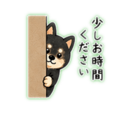 840456528