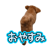 840457498
