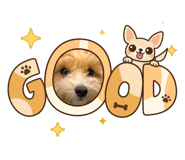 840457504