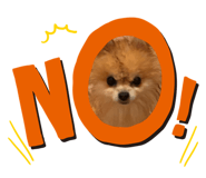 840460284