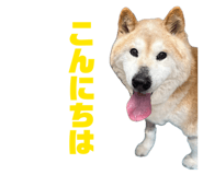 840460370