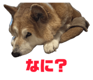 840460378