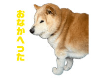 840460379