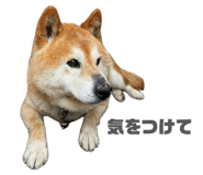 840460380