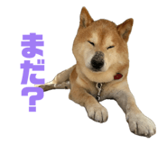 840460383