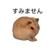 840460650