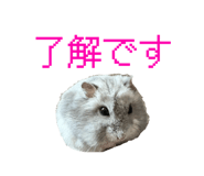 840460651