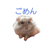 840460653