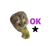 840460654
