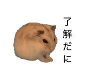 840460655
