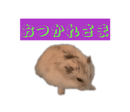 840460659