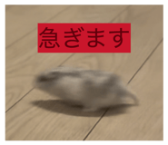 840460661