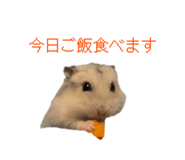840460665