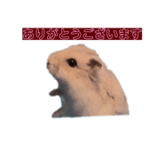 840460668