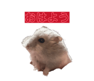 840460669
