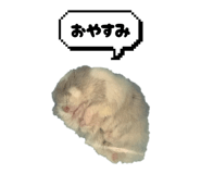 840460670