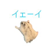 840460674