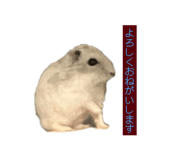 840460676